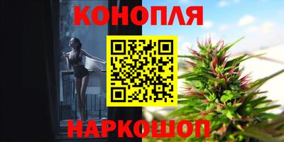 прущие грибы Новодвинск