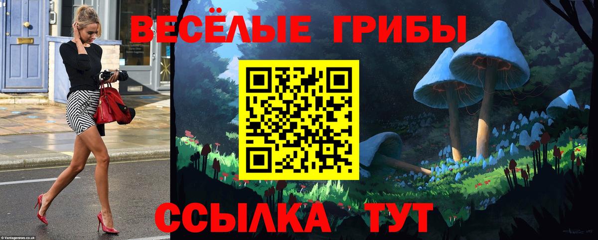Феодосия  Галлюциногенные грибы мицелий  Вход с VPN 