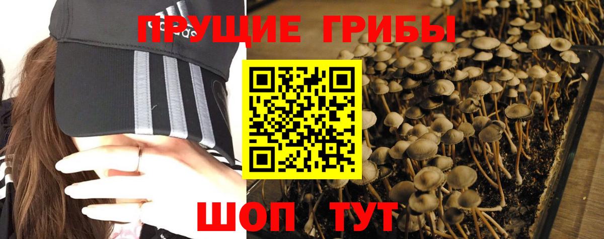 Псилоцибиновые грибы MAGIC MUSHROOMS Феодосия